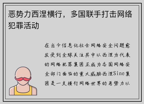 恶势力西涅横行，多国联手打击网络犯罪活动